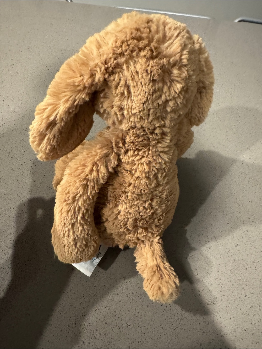 Toffee Bashful Puppy Jellycat - Picture 2 of 4